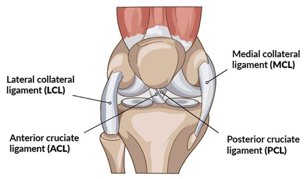 Knee Arthroscopy treatment in Bangalore, ACL Reconstruction Bangalore, PCL Repair near me, Meniscus Surgery KR Puram, Multiligament Reconstruction Segehalli,