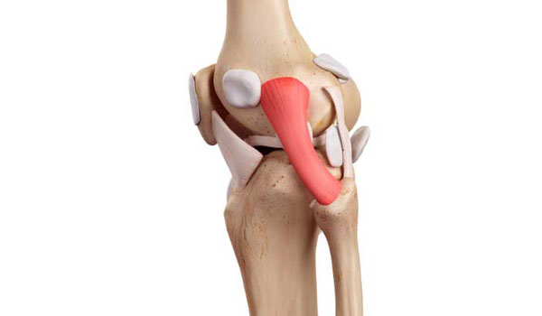 Knee Arthroscopy treatment in Bangalore, ACL Reconstruction Bangalore, PCL Repair near me, Meniscus Surgery KR Puram, Multiligament Reconstruction Segehalli,