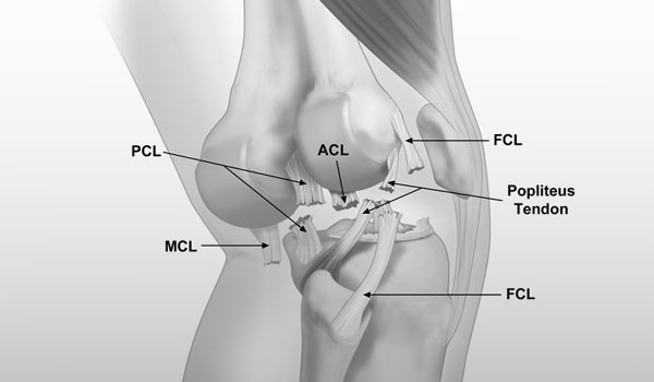 Knee Arthroscopy treatment in Bangalore, ACL Reconstruction Bangalore, PCL Repair near me, Meniscus Surgery KR Puram, Multiligament Reconstruction Segehalli,