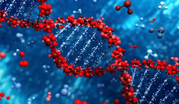 lab and diagnostics in Bangalore, pathology lab KR Puram, master health checkup Segehalli, ECG X-ray Mahadevapura, diagnostic center Bangalore, biochemistry test Bangalore, hormone test near me, 2D echo near KR Puram, blood test Segehalli, best diagnostic services Bangalore